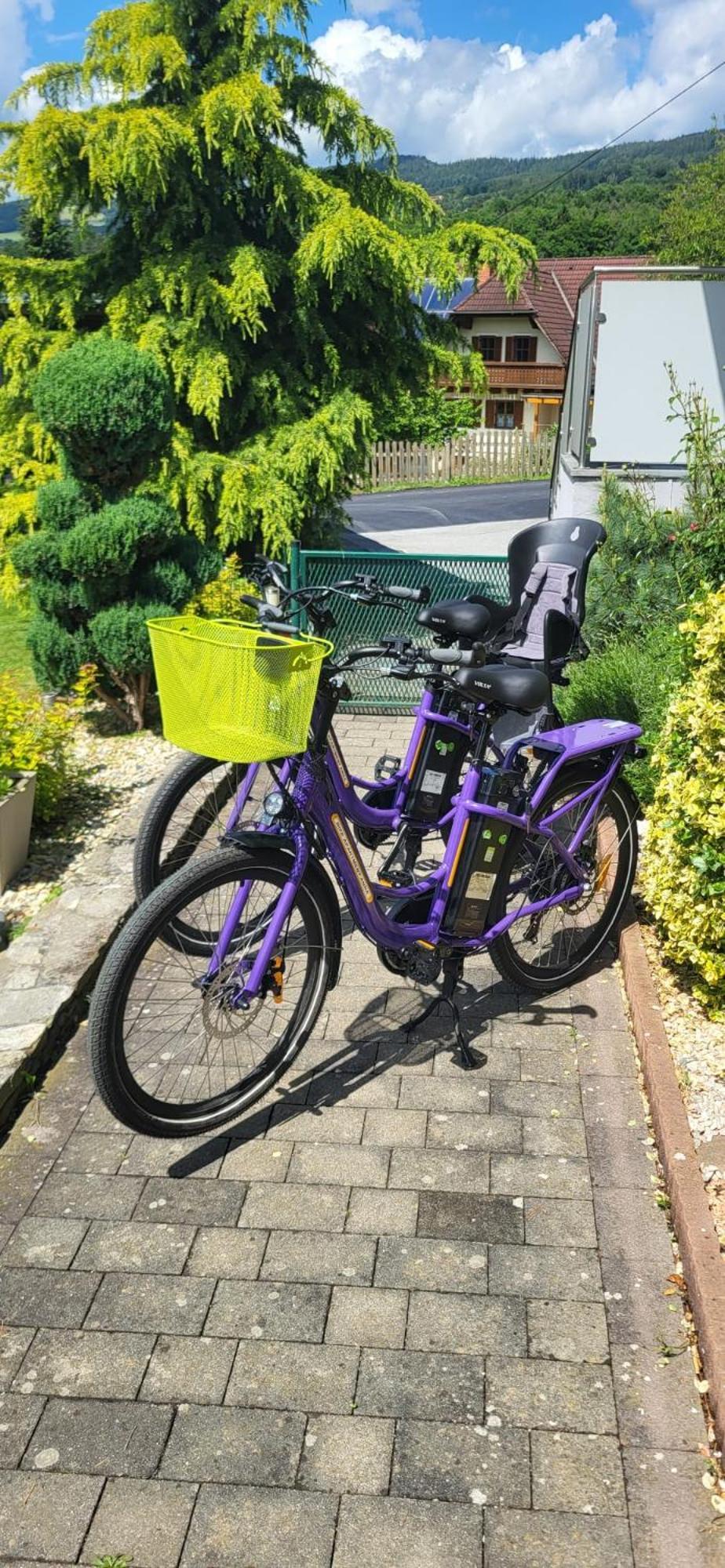 Zwei Schlafzimmer Ferienapartment Anna Am Stubenbergsee Inklusive Vier E-Bikes Exterior foto